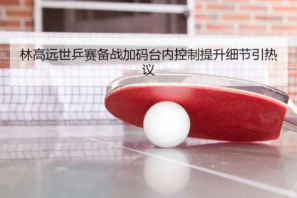林高远世乒赛备战加码台内控制提升细节引热议