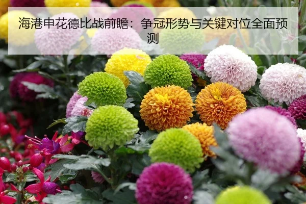 海港申花德比战前瞻：争冠形势与关键对位全面预测