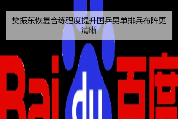 樊振东恢复合练强度提升国乒男单排兵布阵更清晰
